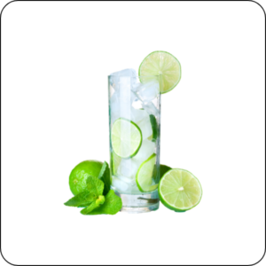 Mojito Mint